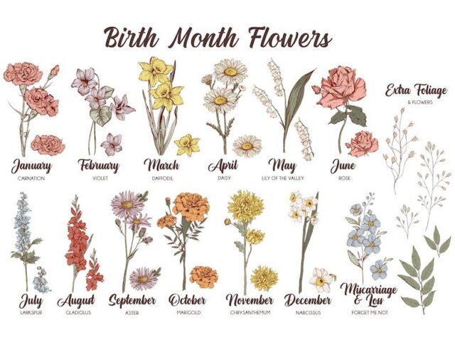 Personalized First Mom, Now Grandma Wooden Sign with Birth Flowers