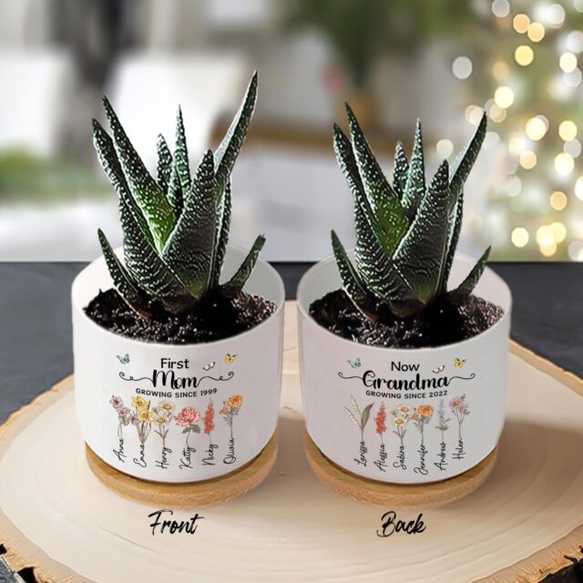 Custom Birth Month Flowers Grandma Plant Pot – First Mom Now Grandma Gift
