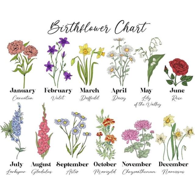 Custom First Mom Now Grandma Bottle Lamp – Personalized Birth Month Flower Gift