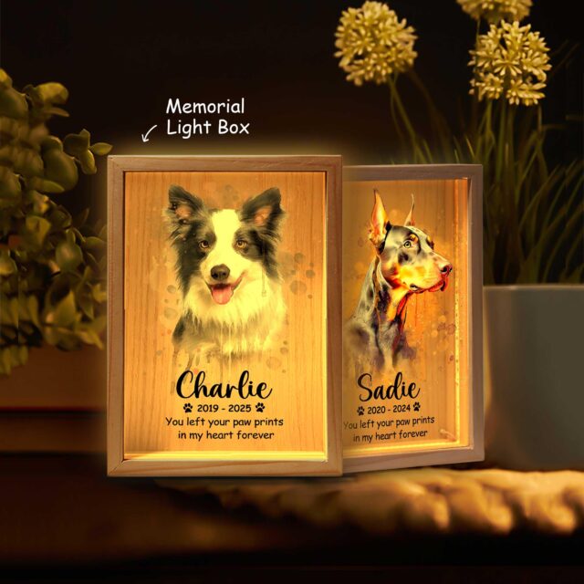 Personalized Pet Memorial Light Box – Custom Pet Loss Sympathy Gift