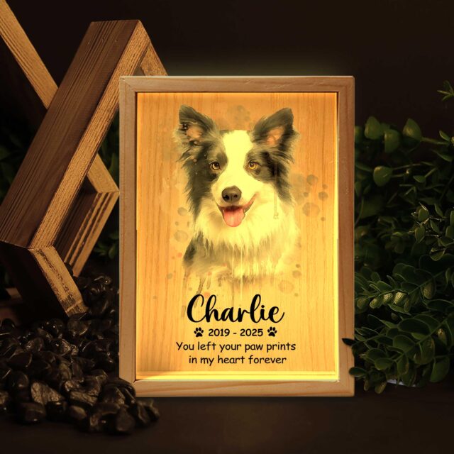 Personalized Pet Memorial Light Box – Custom Pet Loss Sympathy Gift