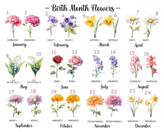 Birth Month Flowers Pillow Custom Mothers Day Gift for Mom & Grandma