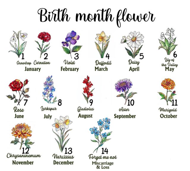 Personalized Grandmas Garden Shirt Custom Birth Flower Tee with Kid Names