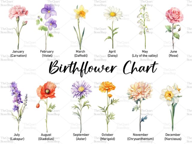 Custom First Mom Now Grandma Night Light – Personalized Birth Month Flower Gift