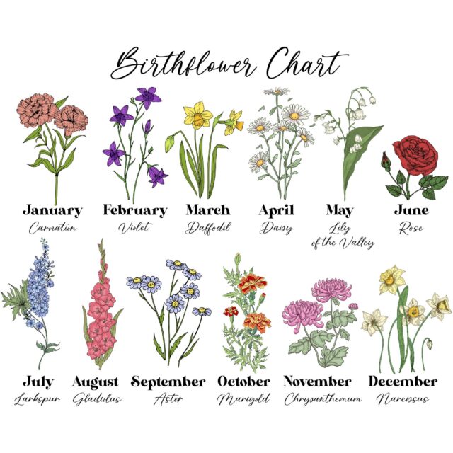 Personalized Grandma’s Garden Acrylic Plaque – Birth Month Flower Gift
