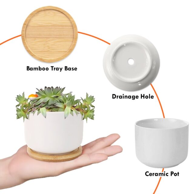 Personalized Great Grandma Plant Pot – Custom Grandchild Names Gift