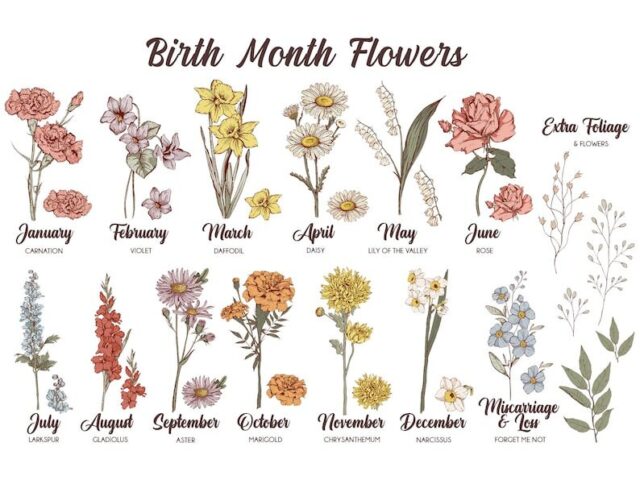 First Mom Now Grandma Shirt – Custom Birth Month Flower Gift