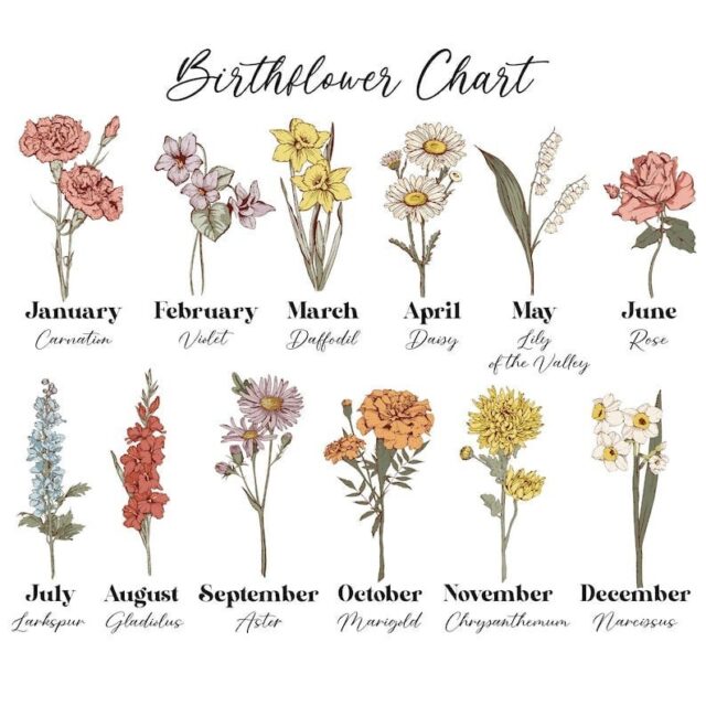 First Mom Now Grandma Gift – Custom Birth Month Flowers Grandma Plant Pot