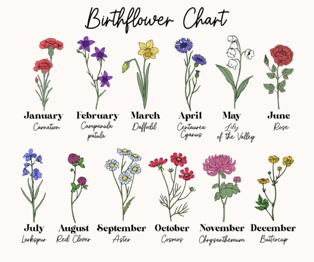 Personalized Birth Month Flower Mug – Grandma’s Garden Gift