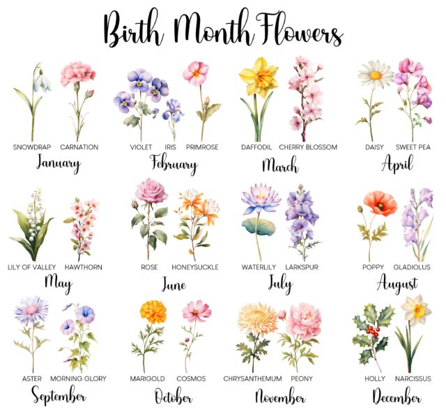 Personalized Mom’s Garden Shirt – Custom Birth Month Flower Shirt for Grandma, Nana