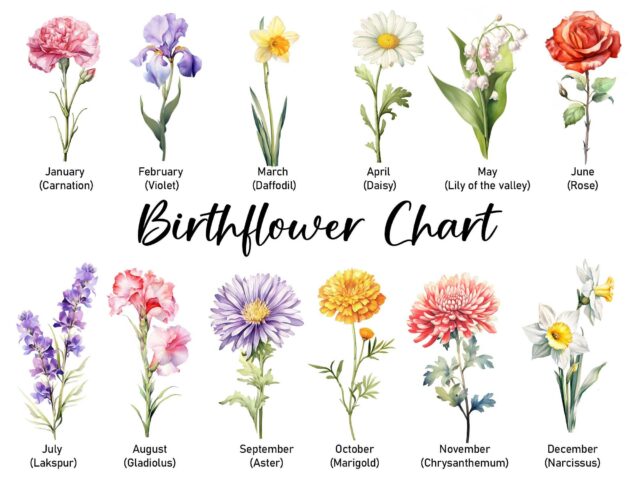 July 4th Garden Flag – Custom Birth Month Flower with Name for Grandma